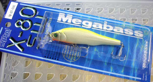 X-80 SW PM HOT SHAD X-80 SW PM HOT SHAD