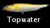 Top Water Lures